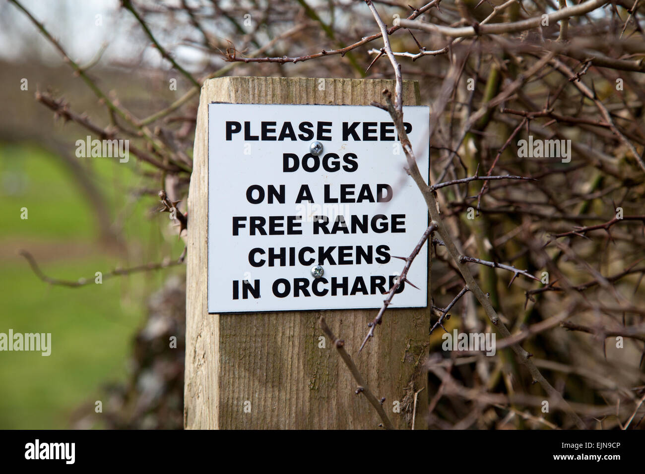 Una cortese comunicazione per richiedere i cani ad essere tenuti in derivazione su un sentiero pubblico nelle zone rurali del Regno Unito Foto Stock