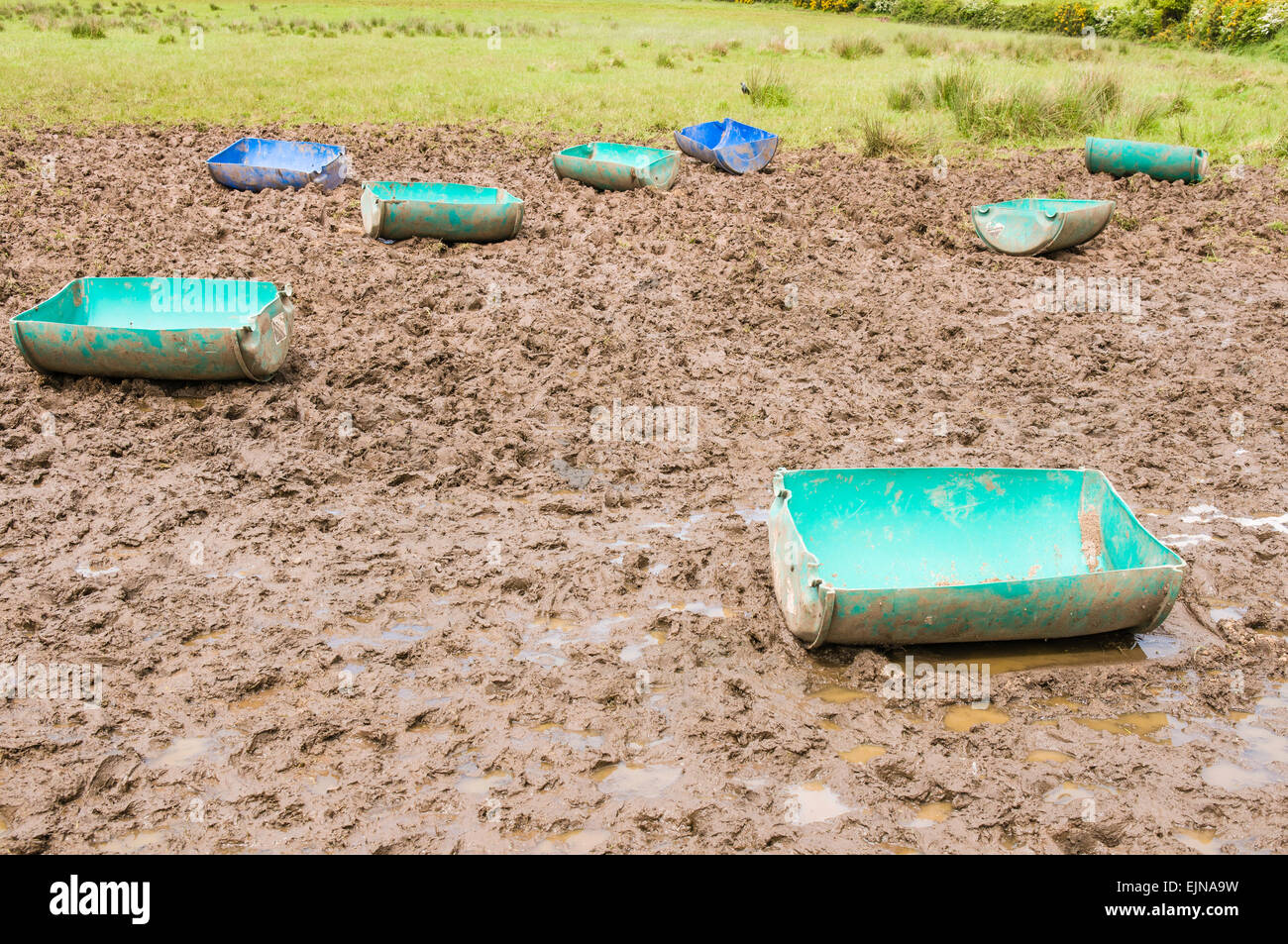 Barili tagliato a metà per agire come acqua trogoli in un campo per gli animali a bere a. Foto Stock