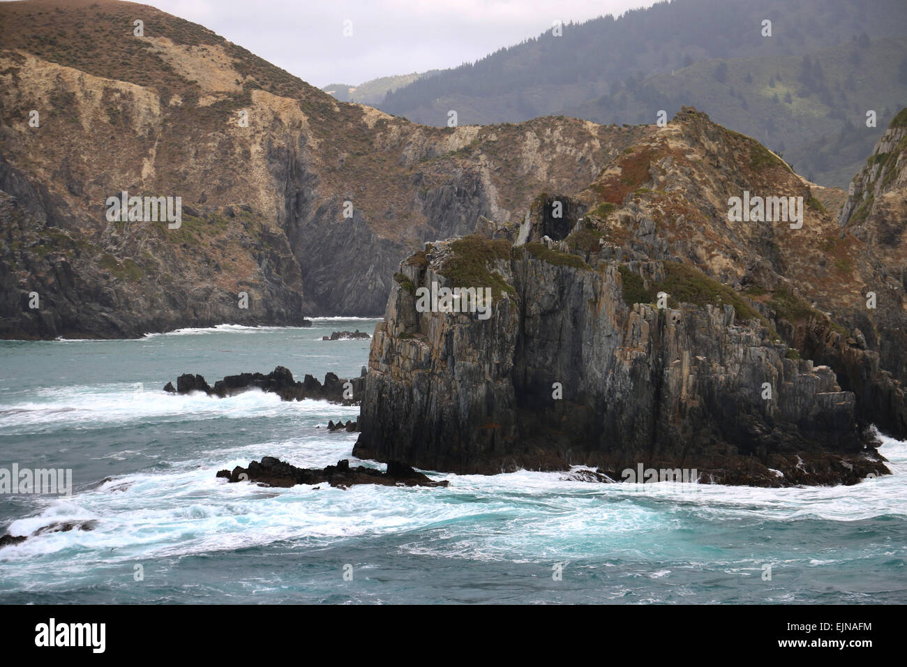 Ingresso stretto di Cook da Picton Nuova Zelanda Foto Stock