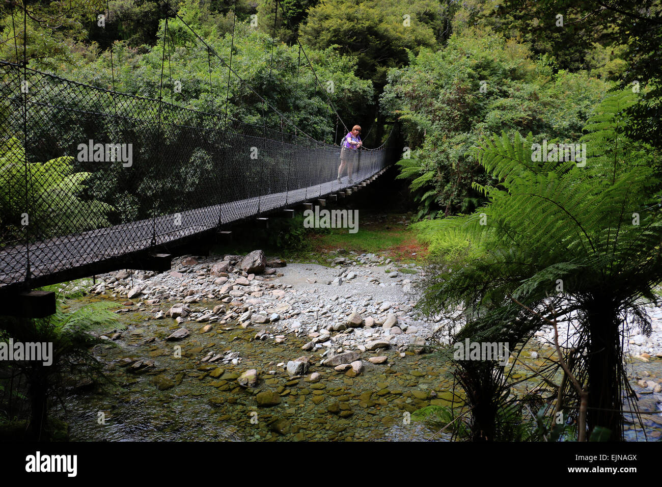 Gli escursionisti a piedi ponte a Monro beach trail attraverso subtropicale foresta di pioggia Nuova Zelanda Foto Stock