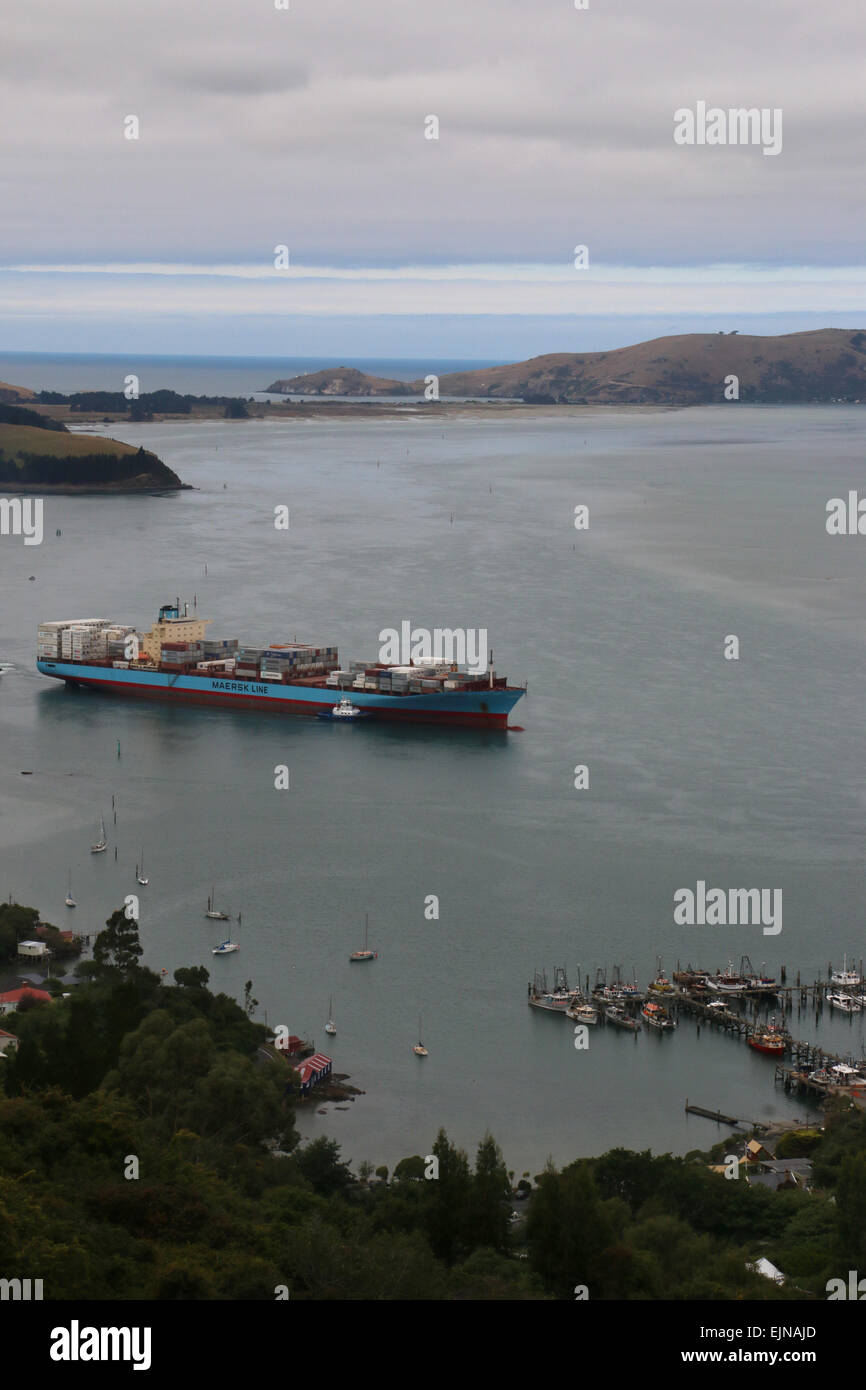 Contenitore nave che entra in Port Chalmers Nuova Zelanda Otago Harbour Foto Stock