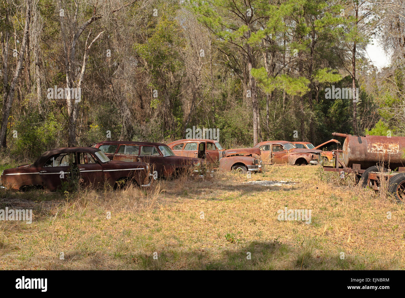 Cimitero di auto in Florida. Alcune vecchie, defunta e rusty automobili sono state accuratamente accantonato per decadimento con onore. Foto Stock