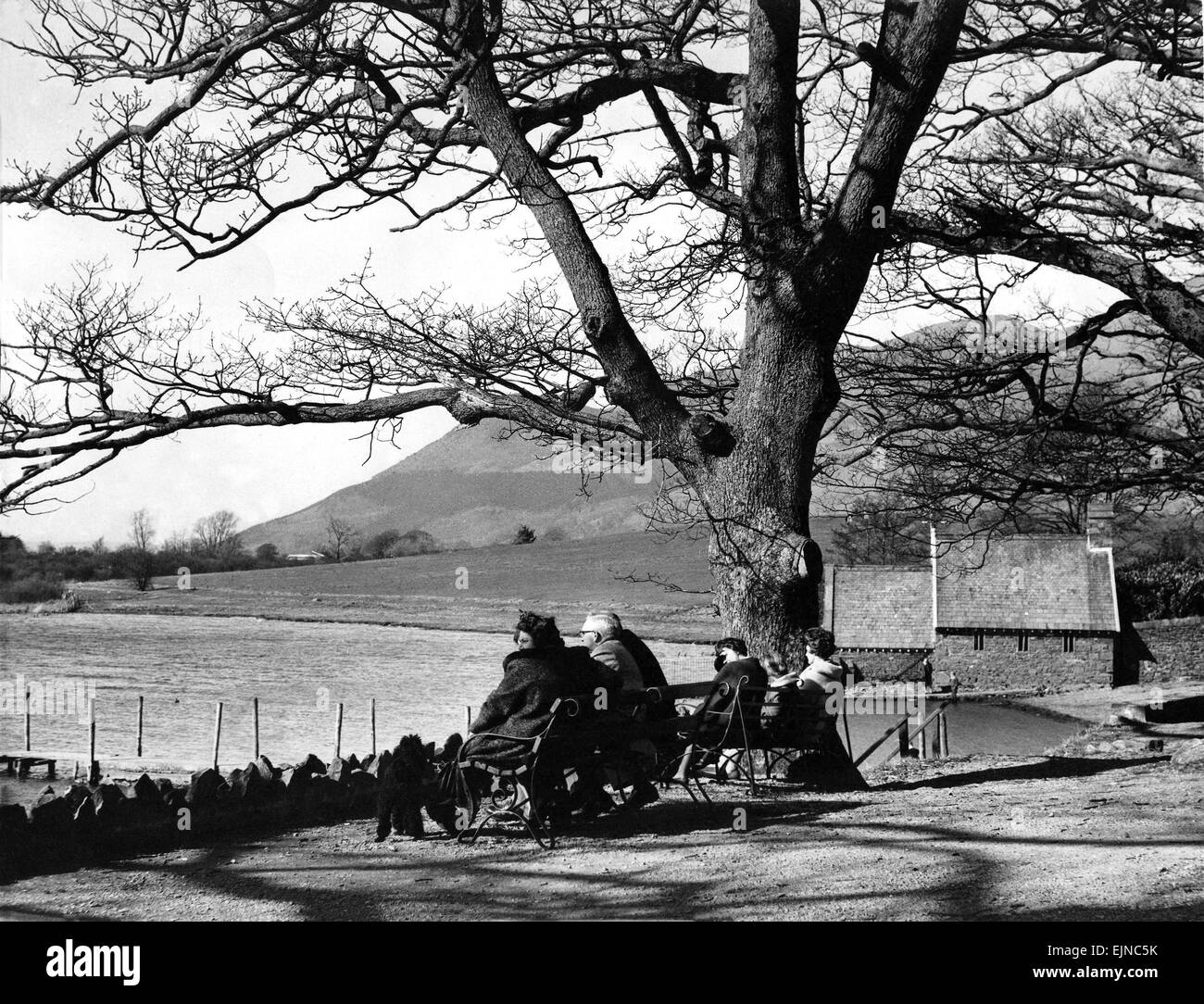 Lake District - Derwentwater - persone a sedersi sulle panchine e ammirare la vista 29 Marzo 1965 Foto Stock