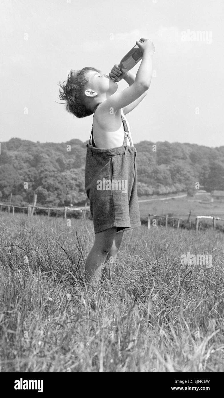 Johnnie Goodwillie visto qui prendendo un drink di limonata calda tarda primavera del giorno nel mese di maggio. 19 Maggio 1952.Caption locale *** watscan - - 26/01/2010 Foto Stock