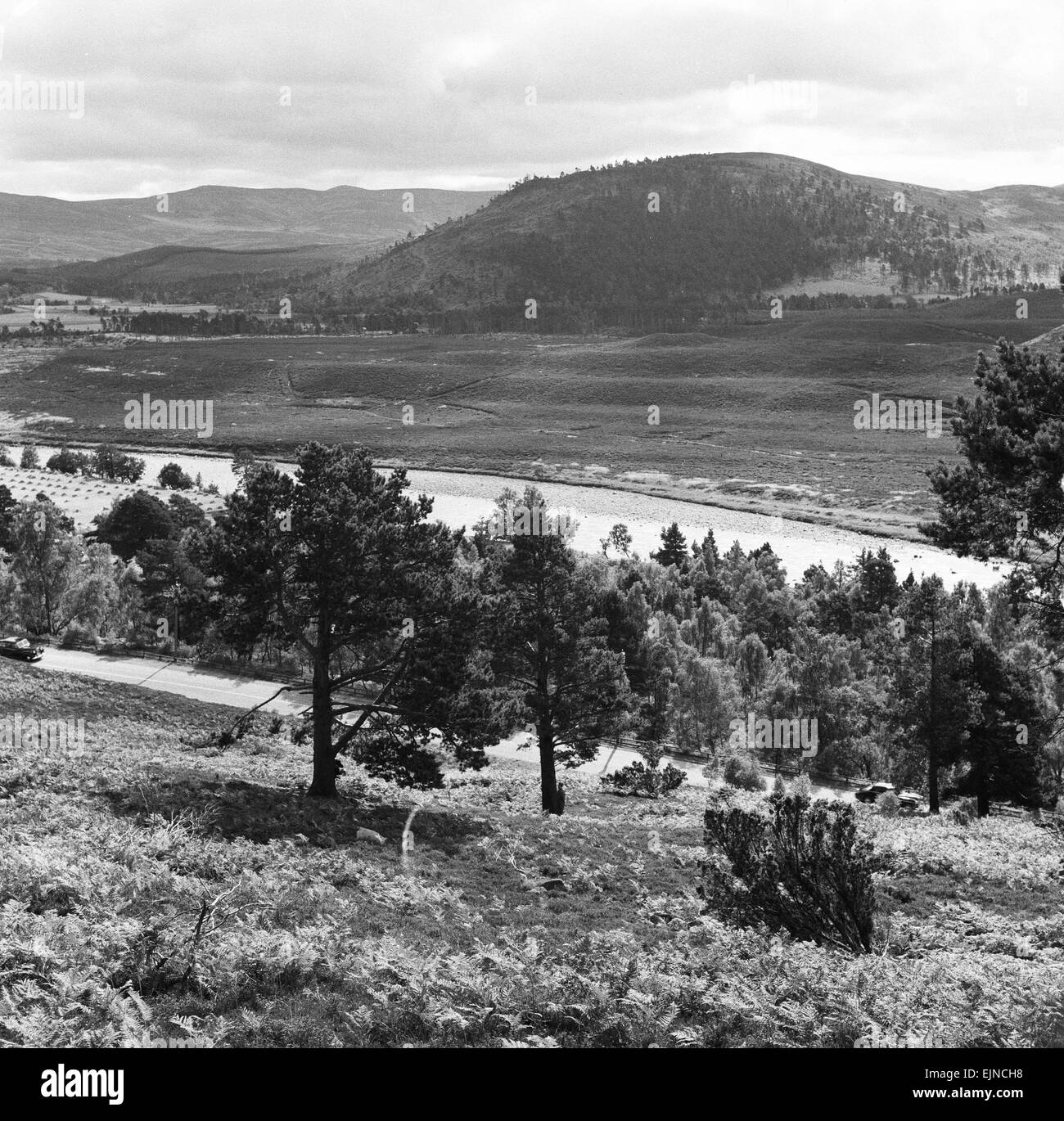 Vista del paese Deeside, Aberdeenshire. 28/08/1959. Foto Stock