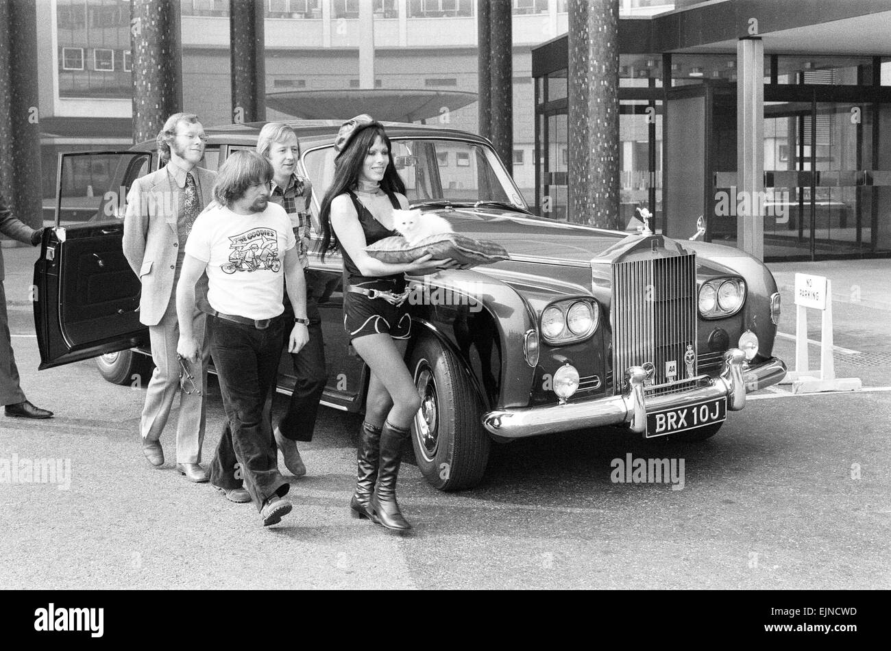 Le prelibatezze offerte Kitten Kong è la BBC in entrata al Festival di Montreux per 'luce migliore film di intrattenimento. Star dello show, Twinkle, un pelo bianco gatto persiano è raffigurato in arrivo - dalla Rolls Royce - alla BBC Studios di Londra, accompagnato da Rose Chalmers, sabato 18 marzo 1972. Il Trio Goodies sono Tim Brooke-Taylor, Graeme Garden & Bill Oddie. *** Caption locale *** sabato 18 marzo 1972. Foto Stock