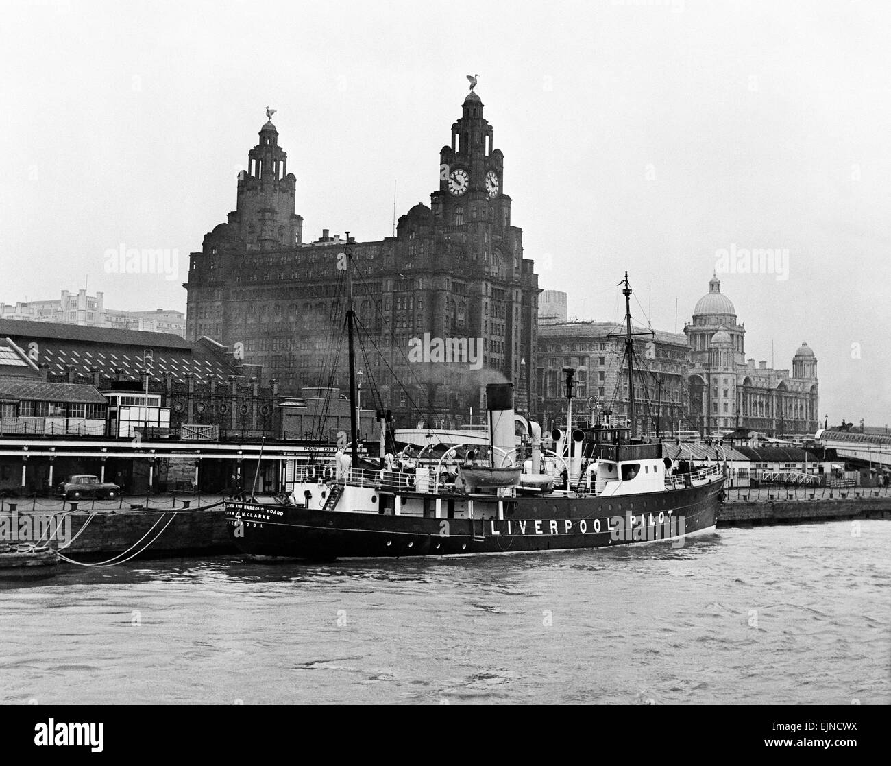 Viste di Liverpool, Merseyside, 13 maggio 1954. Banchine del porto e del bordo nave pilota nel dock accanto ai loro uffici, il Royal Liver Building e la Cunard Building. La vita nella serie a specchio. Foto Stock