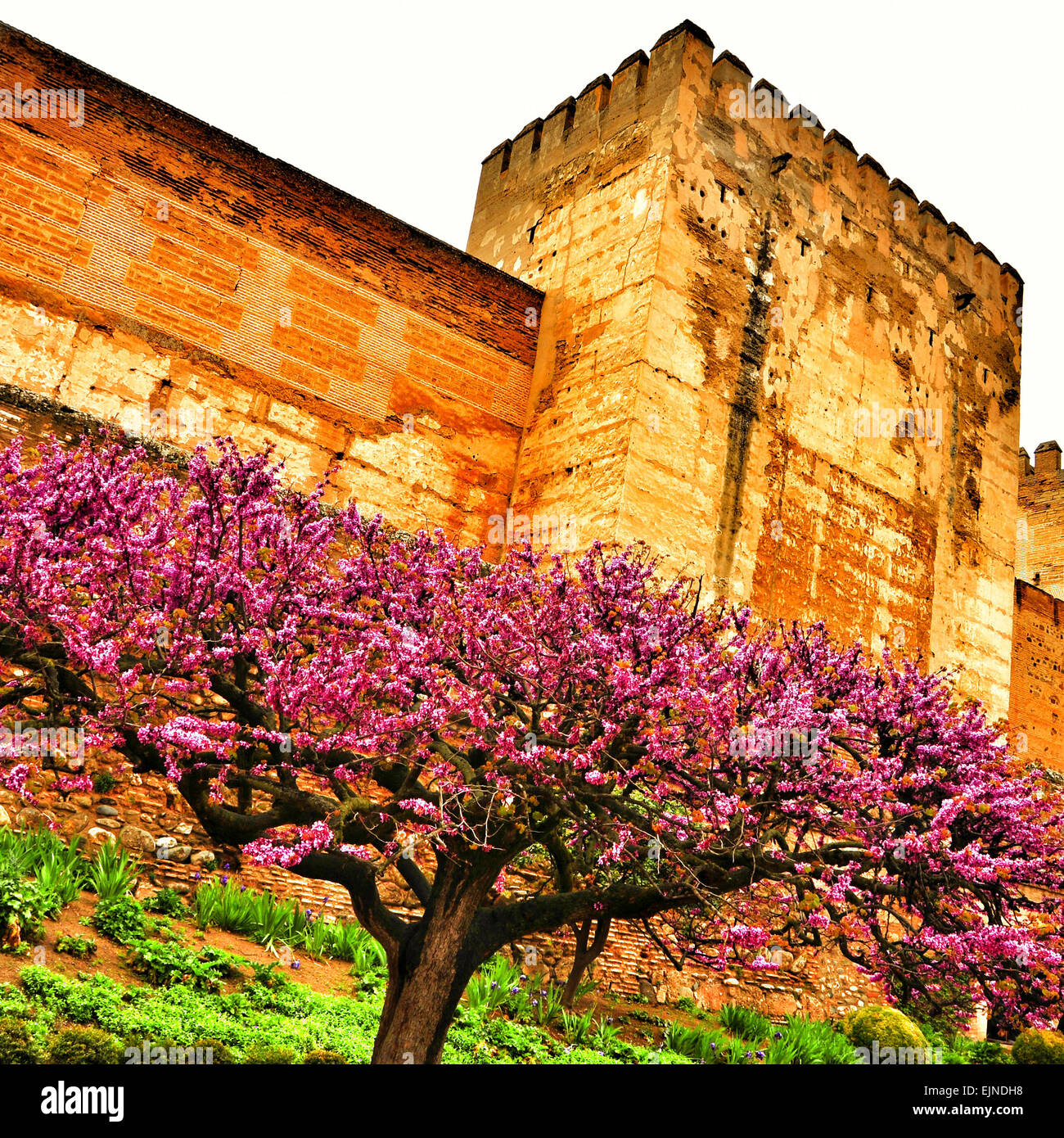 Una vista della Torre del Homenaje a la Alcazaba de La Alhambra di Granada, Spagna Foto Stock