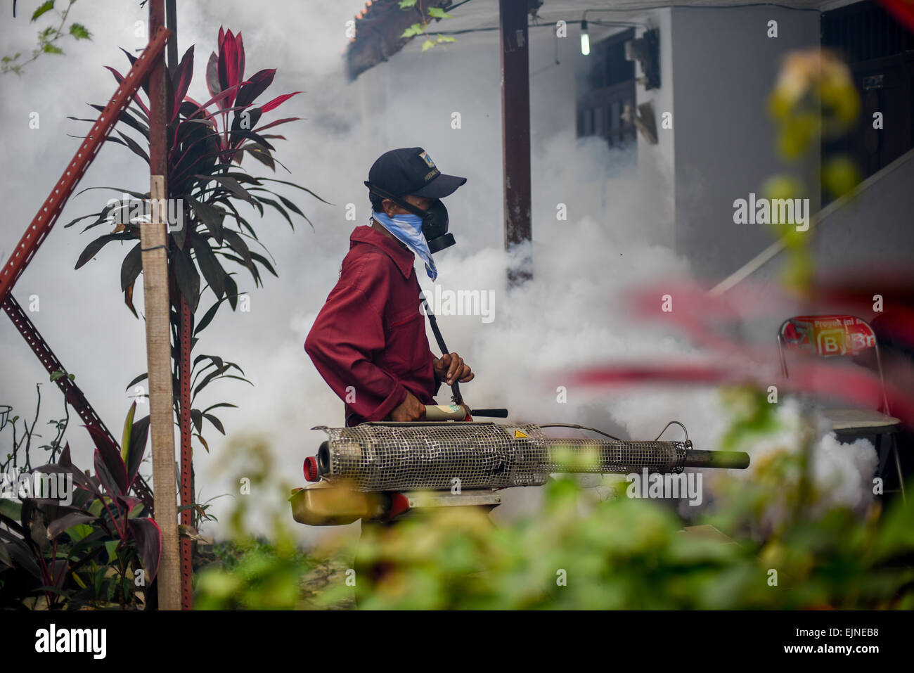 L'appannamento delle zanzare si svolge in un quartiere denso e popolato a Giacarta Ovest, mentre la lotta contro la febbre dengue continua. Foto Stock