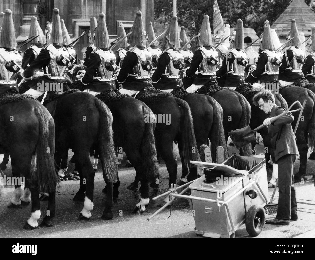 Con il suo filtro bow tie e nuove tute da lavoro il lavoratore pulisce dopo la vita delle guardie durante la regina del discorso di apertura del Parlamento . 4 Novembre 1981 Foto Stock