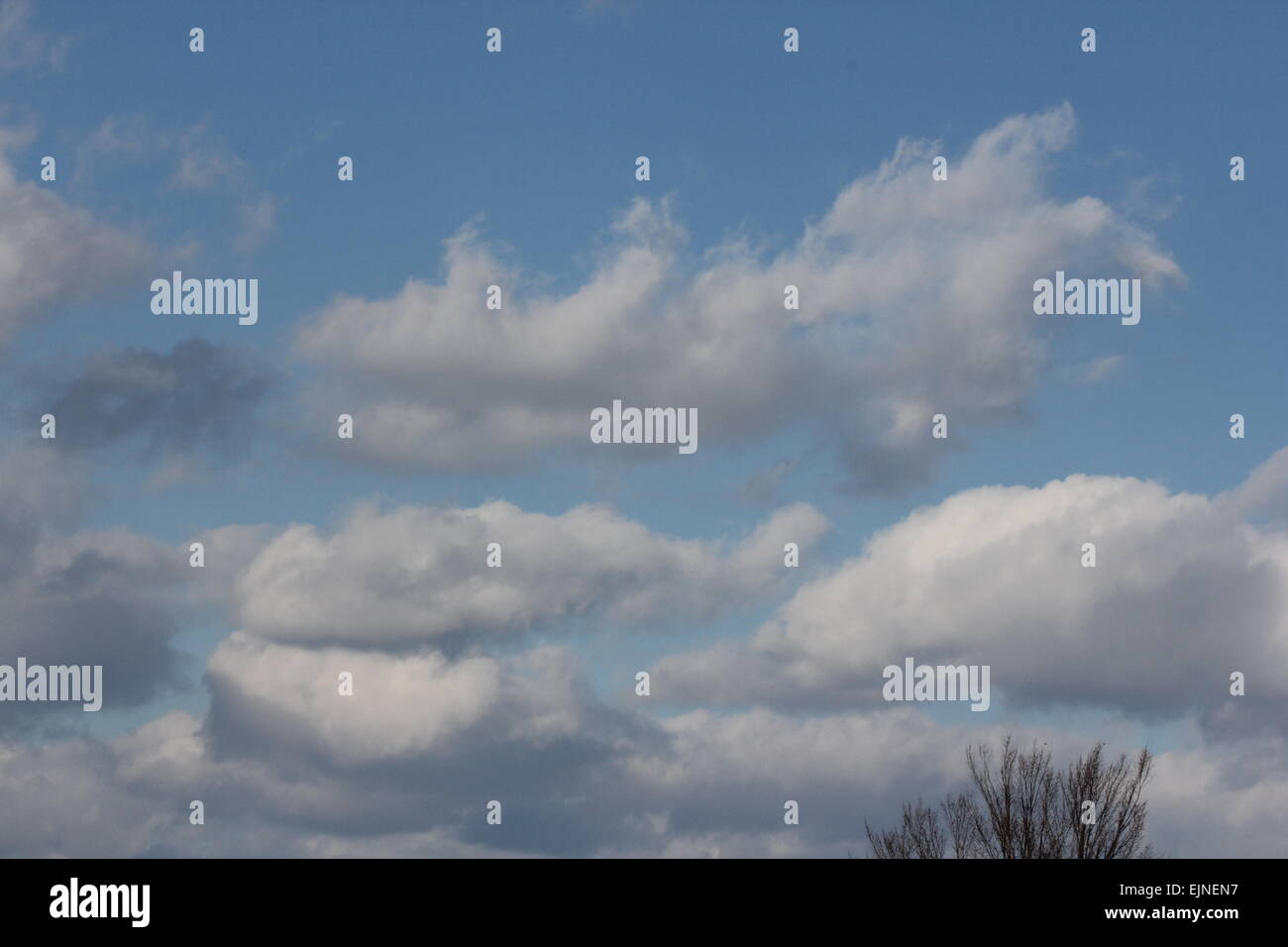 Sventolano il bianco delle nuvole e cielo blu nel tardo pomeriggio. Foto Stock