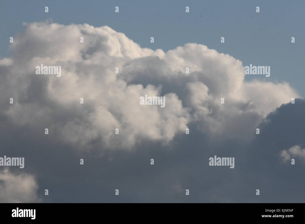 Sventolano nuvole bianche contro un oscuramento cielo blu nel tardo pomeriggio. Foto Stock
