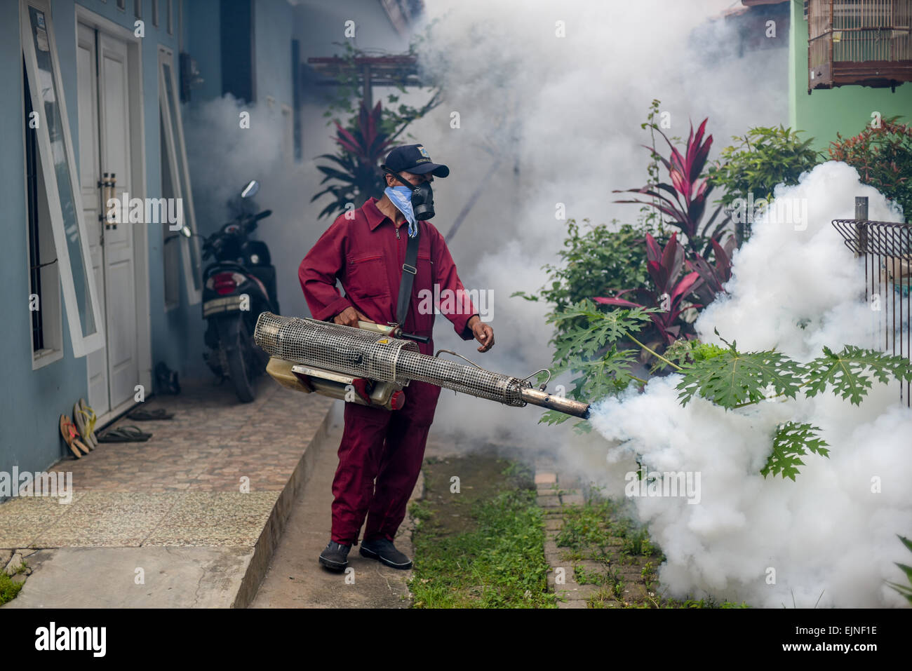 L'appannamento delle zanzare si svolge in un quartiere denso e popolato a Giacarta Ovest, mentre la lotta contro la febbre dengue continua. Foto Stock
