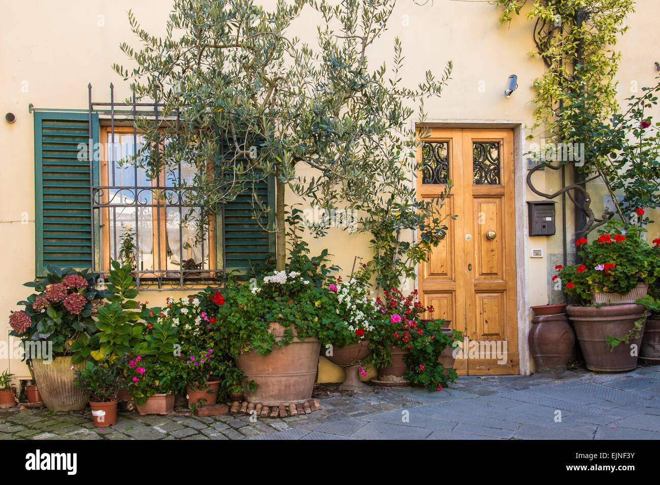Pittoresco borgo casa in Castellina in chianti, Toscana con colorati vasi di fiori, piante rampicanti e una bella porta di legno Foto Stock