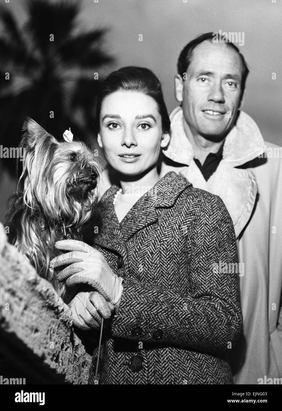 L'attrice Audrey Hepburn nella foto con il suo attore statunitense marito Mel Ferrer e il loro cane in Roma, Italia. 8 gennaio 1960. Foto Stock