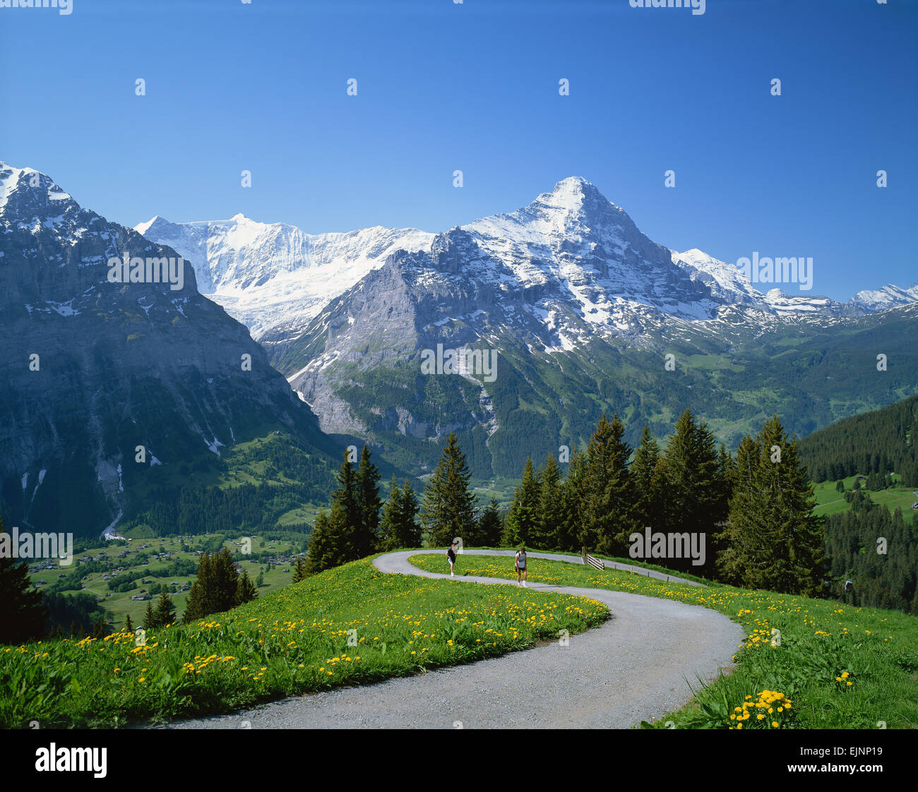 Svizzera Foto Stock