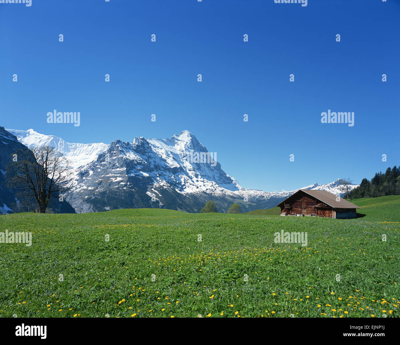Svizzera Foto Stock