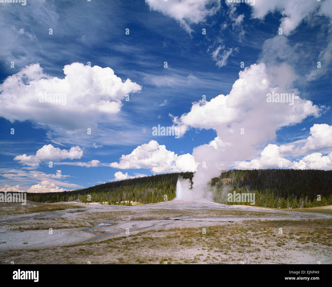 Parco Nazionale di Yellowstone USA Foto Stock