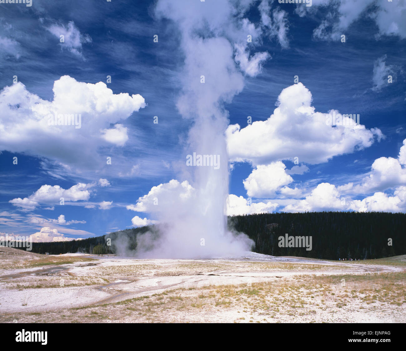 Parco Nazionale di Yellowstone USA Foto Stock