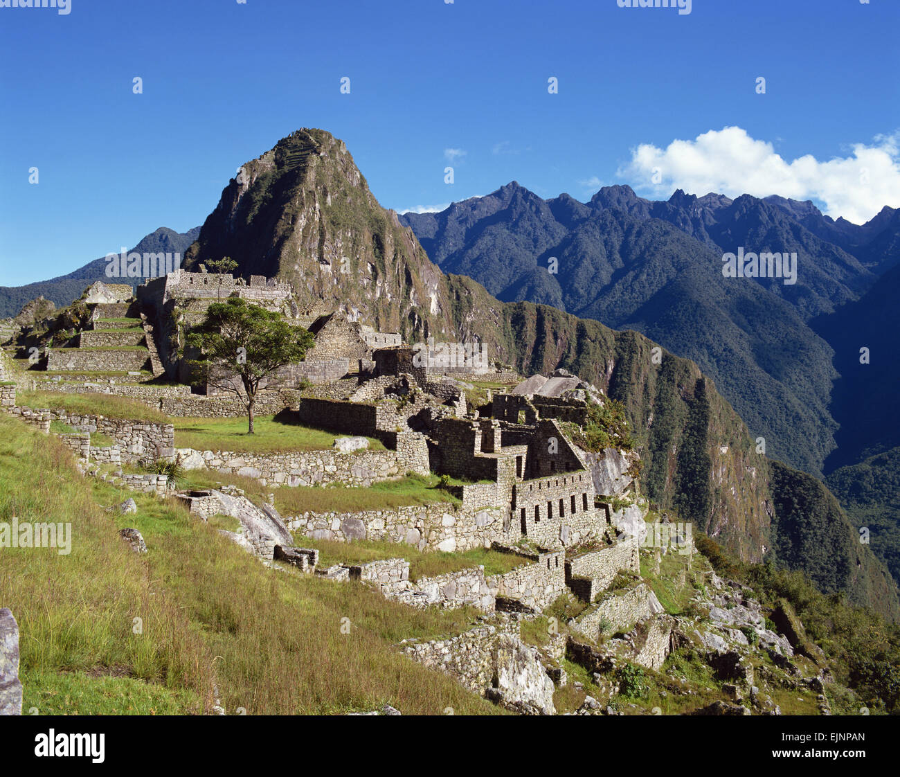 Machu Picchu Perù Foto Stock