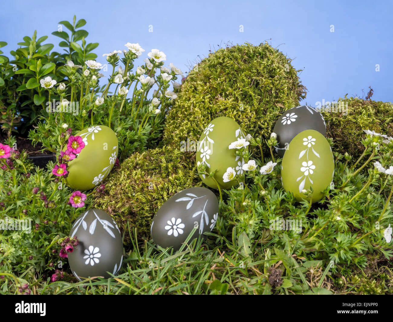 Le uova di pasqua sparsi in tutta l'erba con freschi fiori di primavera oltre il cielo blu Foto Stock