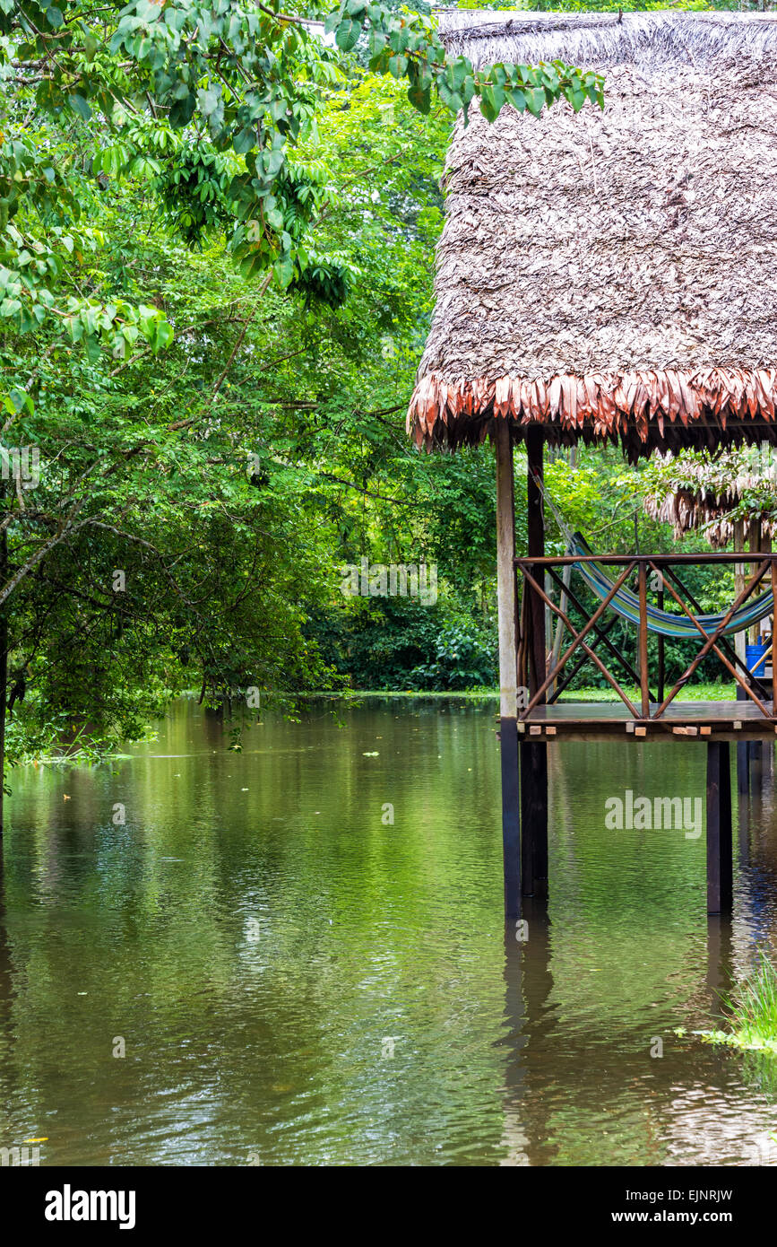 Amache su un balcone su palafitte nella foresta amazzonica vicino a Iquitos, Perù Foto Stock
