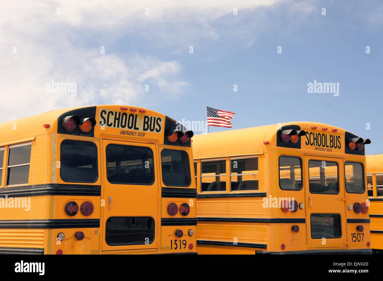 Fila di American School Bus, STATI UNITI D'AMERICA Foto Stock