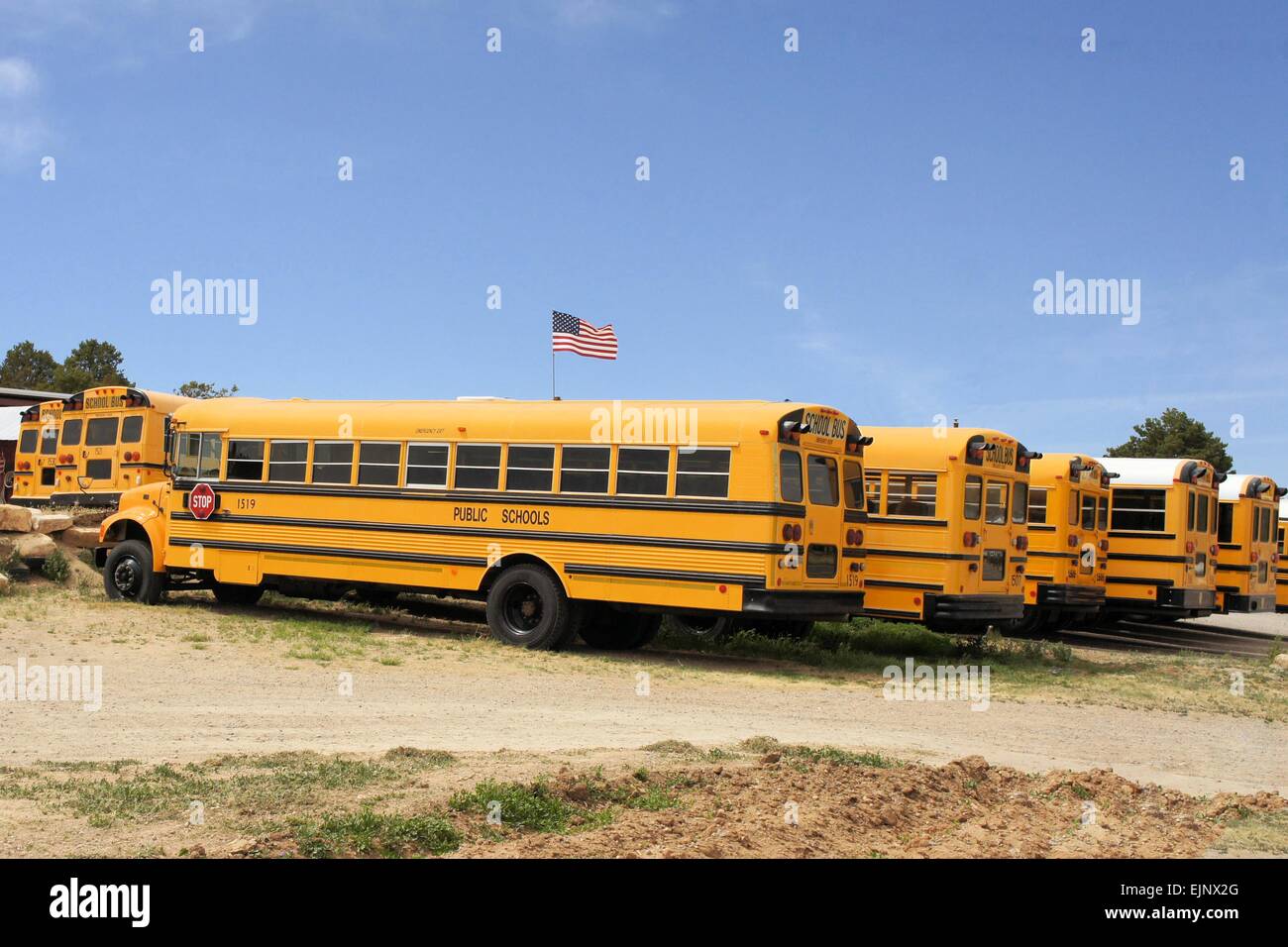 Fila di American School Bus, STATI UNITI D'AMERICA Foto Stock
