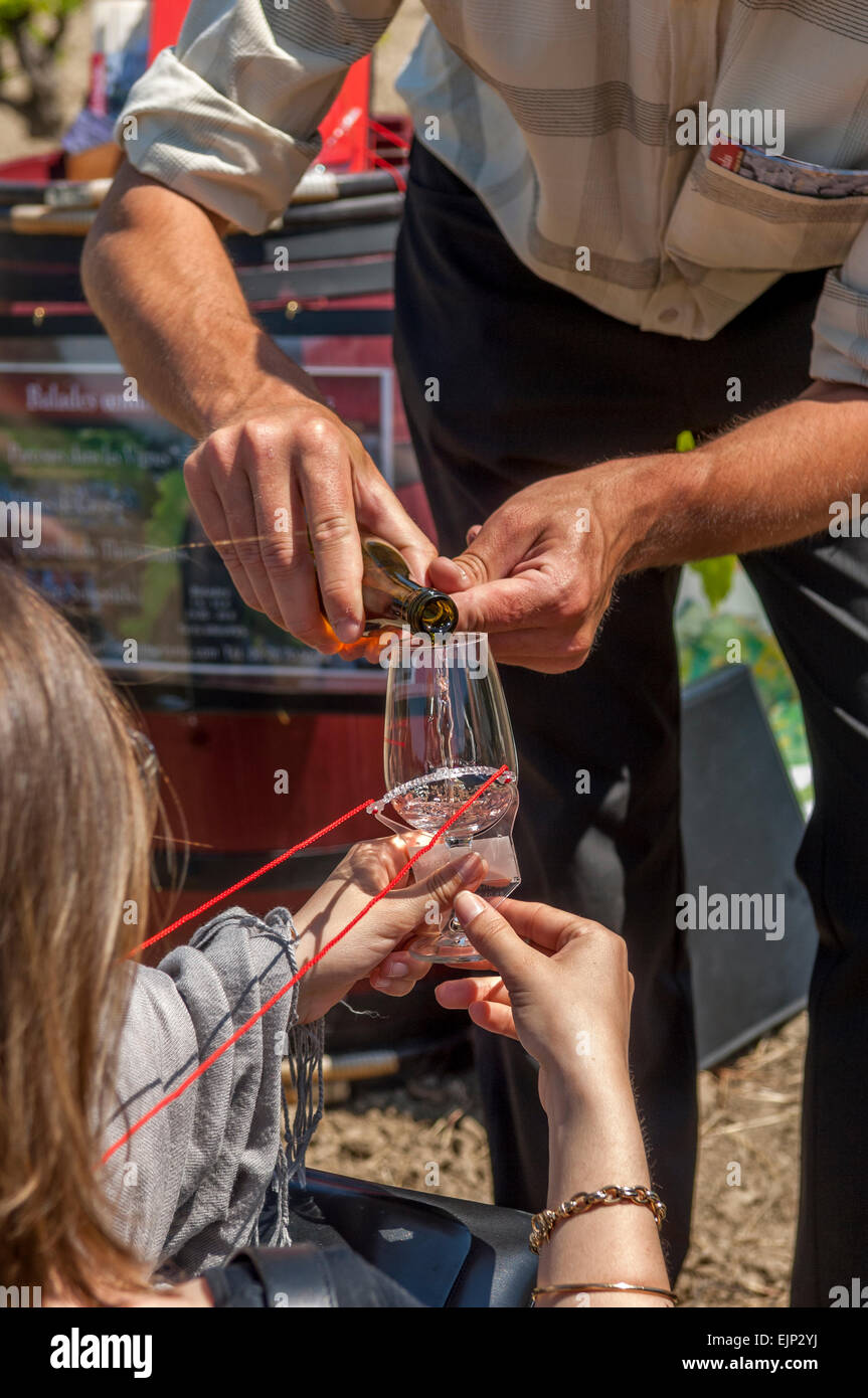Degustazione di vino holiday intorno i vigneti di Gigondas AOC. Vaucluse. Provence-Alpes-Côte d'Azur regione. Francia Foto Stock