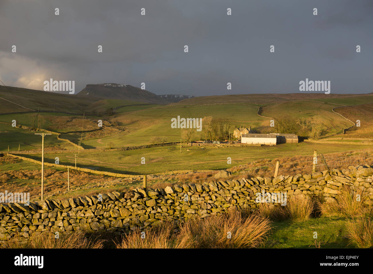 Yorkshire Dales National Park paesaggio nei pressi di Pen-y-gent tra Horton in Ribblesdale e Malham Foto Stock