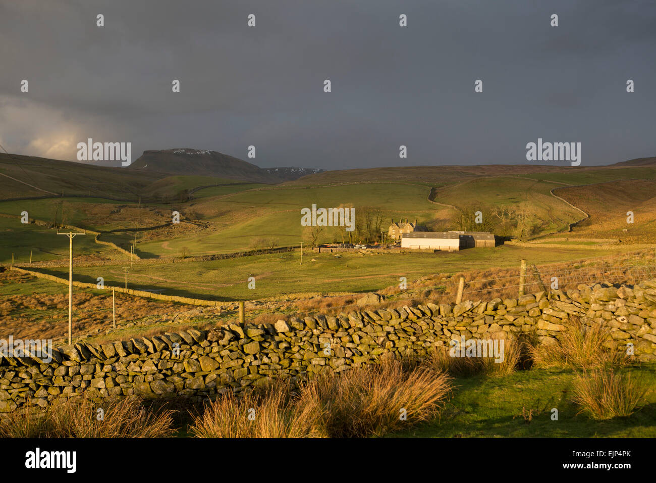 Yorkshire Dales National Park paesaggio nei pressi di Pen-y-gent tra Horton in Ribblesdale e Malham Foto Stock