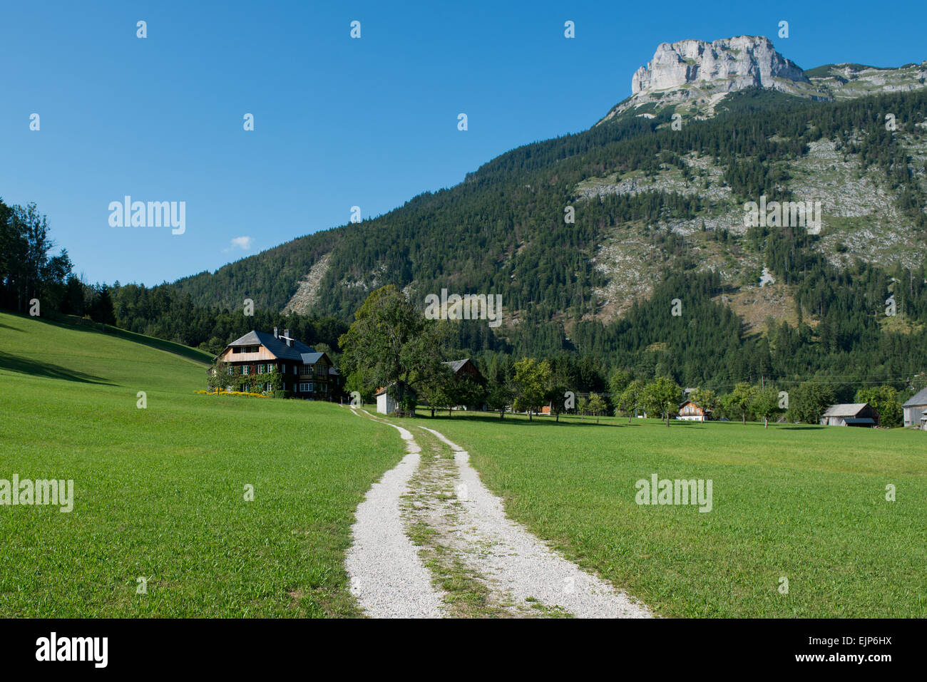 Reith, Altaussee, perdente, Salzkammergut Ausseerland, Stiria, Austria Foto Stock