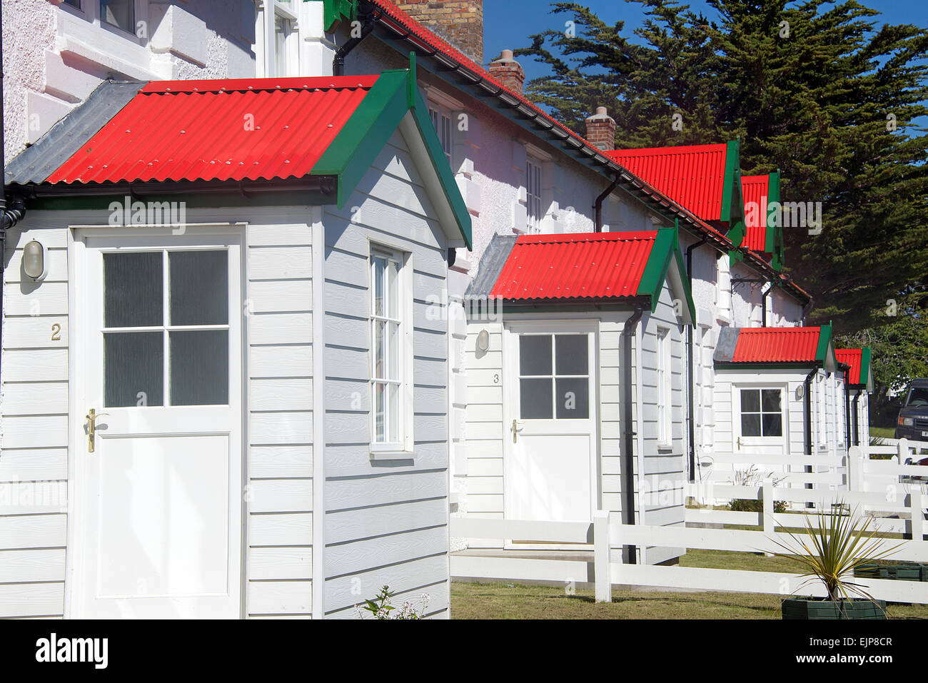 Colorate case a schiera Stanley Isole Falkland Foto Stock