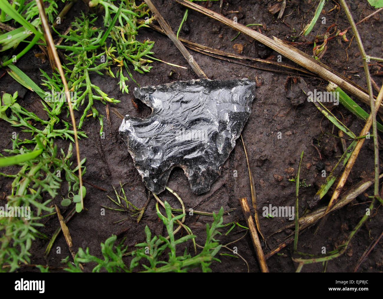 autentica freccia indiana sdraiata sul terreno Foto Stock
