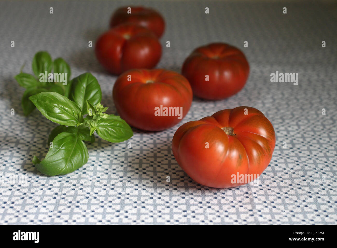 Pomodori Raf (Solanum Lycopersicum) e le foglie di basilico sul panno della tabella Foto Stock