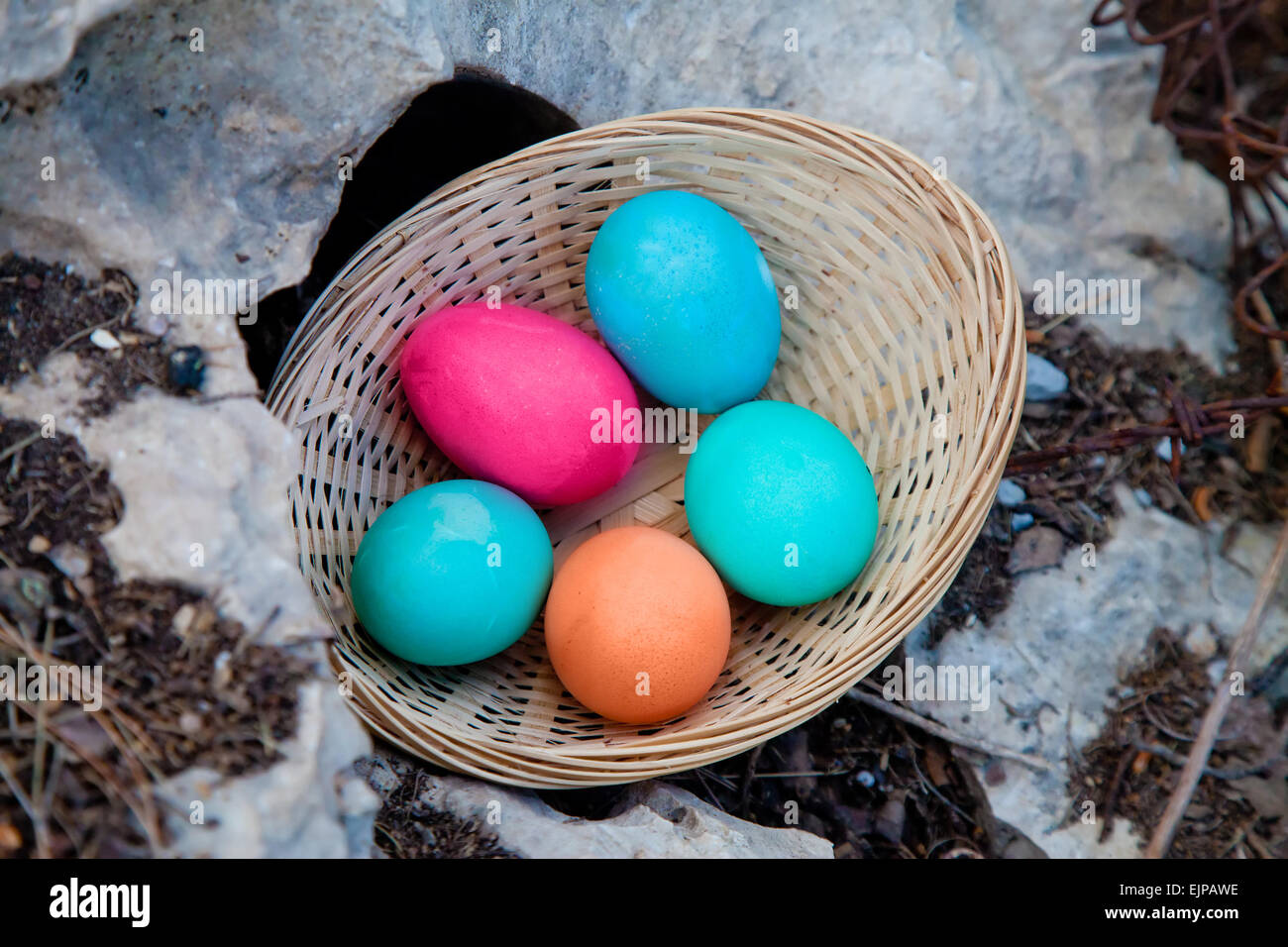 Trovare un nuovo nascondiglio sotto una roccia per Easter egg hunt Foto Stock