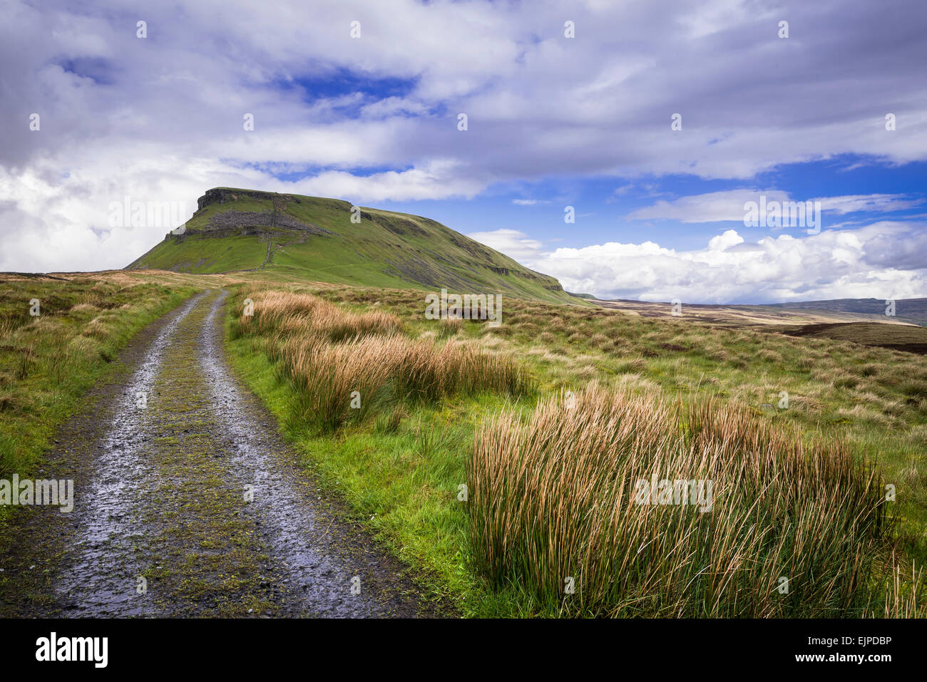 Ampio angolo di visione di pen-y-Ghent, Yorkshire Dales, tre picchi dello Yorkshire con percorso di spazzamento, lande e cielo blu Foto Stock