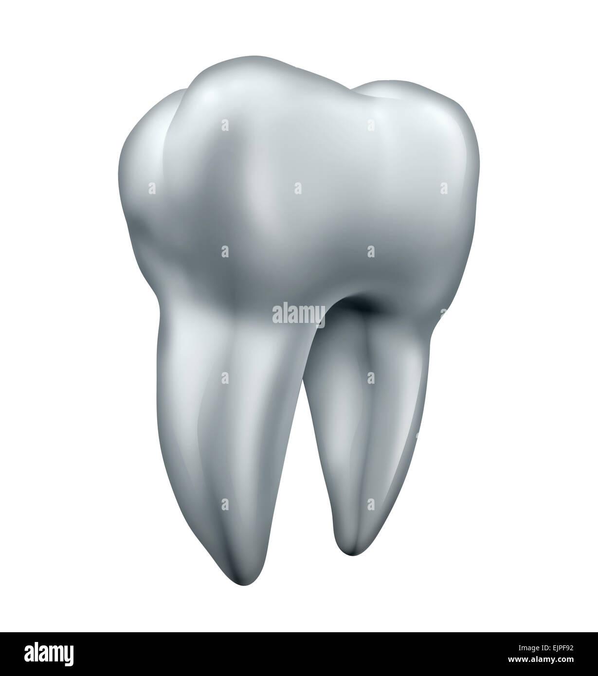Dente e salute dental care simbolo come un icona per la salute dell'uomo bianco luminoso con i denti come un isolato molare su uno sfondo bianco. Foto Stock
