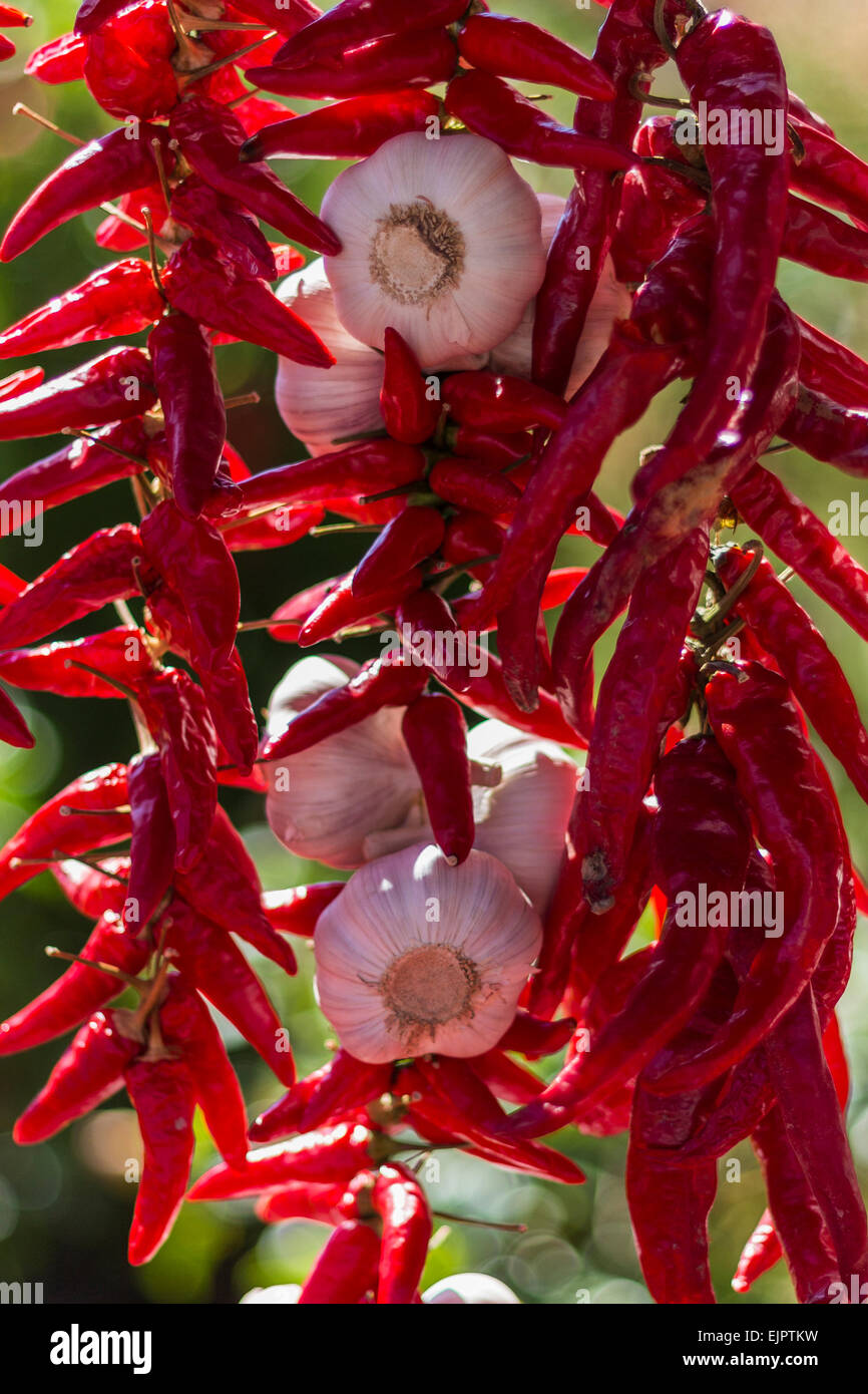 Peperoncino rosso e aglio, Mercato Jean-Talon, Montreal, Quebec, Canada Foto Stock
