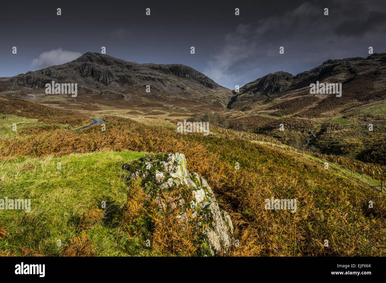 Vista della strada serpeggiando verso il passo di montagna, con la roccia vulcanica in primo piano, Hardknott Pass, Lake District N.P., Cumbria, Inghilterra, Ottobre Foto Stock