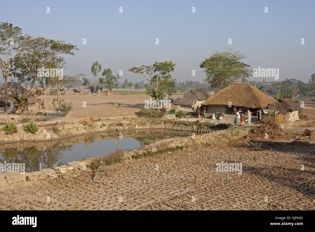 Villaggio deposito di acqua di stagno, casa e campi di sussistenza, Sundarbans, delta del Gange, West Bengal, India, Marzo Foto Stock