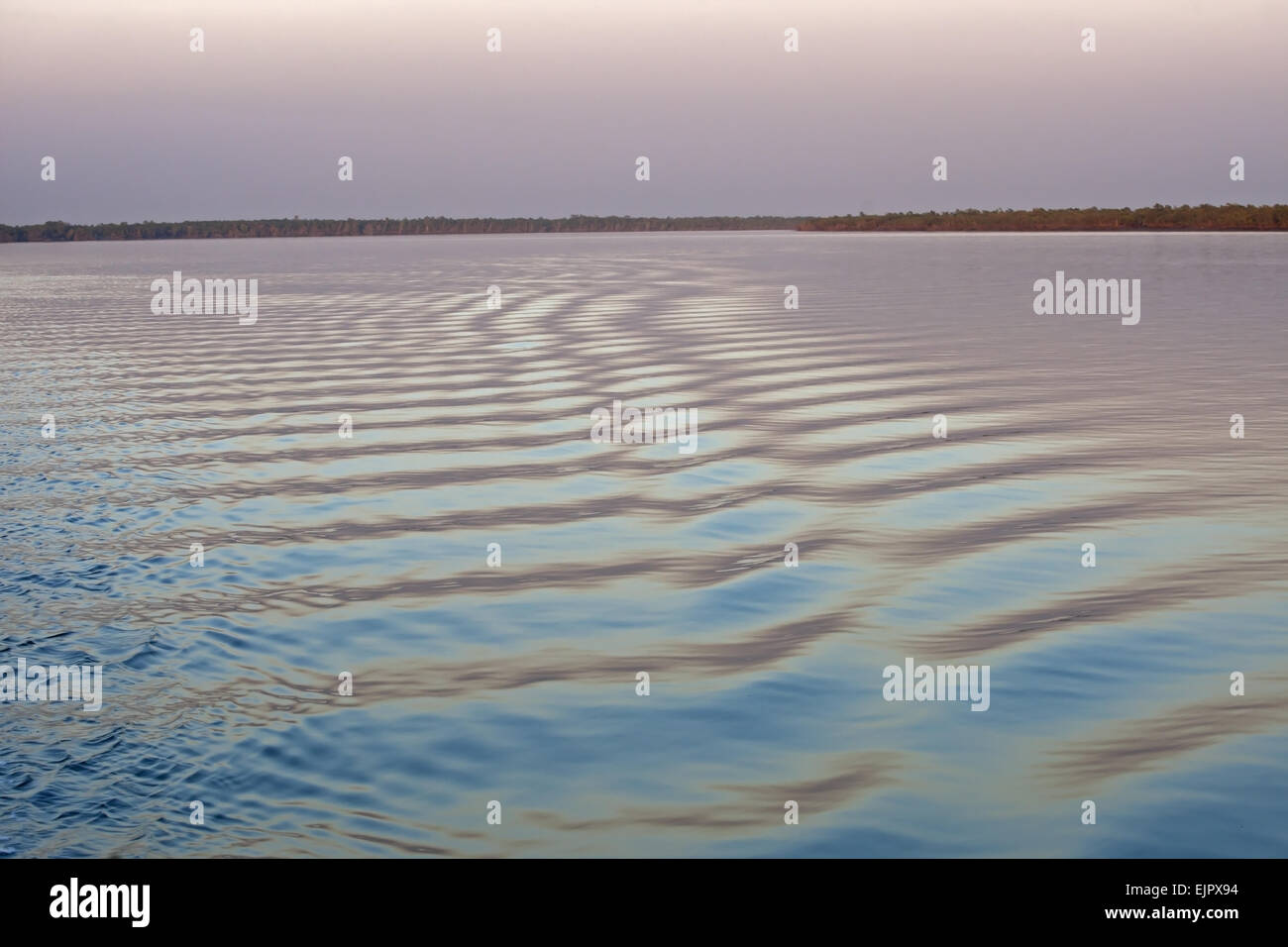 Distesa di acqua con distanti le mangrovie Sundarbans, delta del Gange, West Bengal, India, Marzo Foto Stock