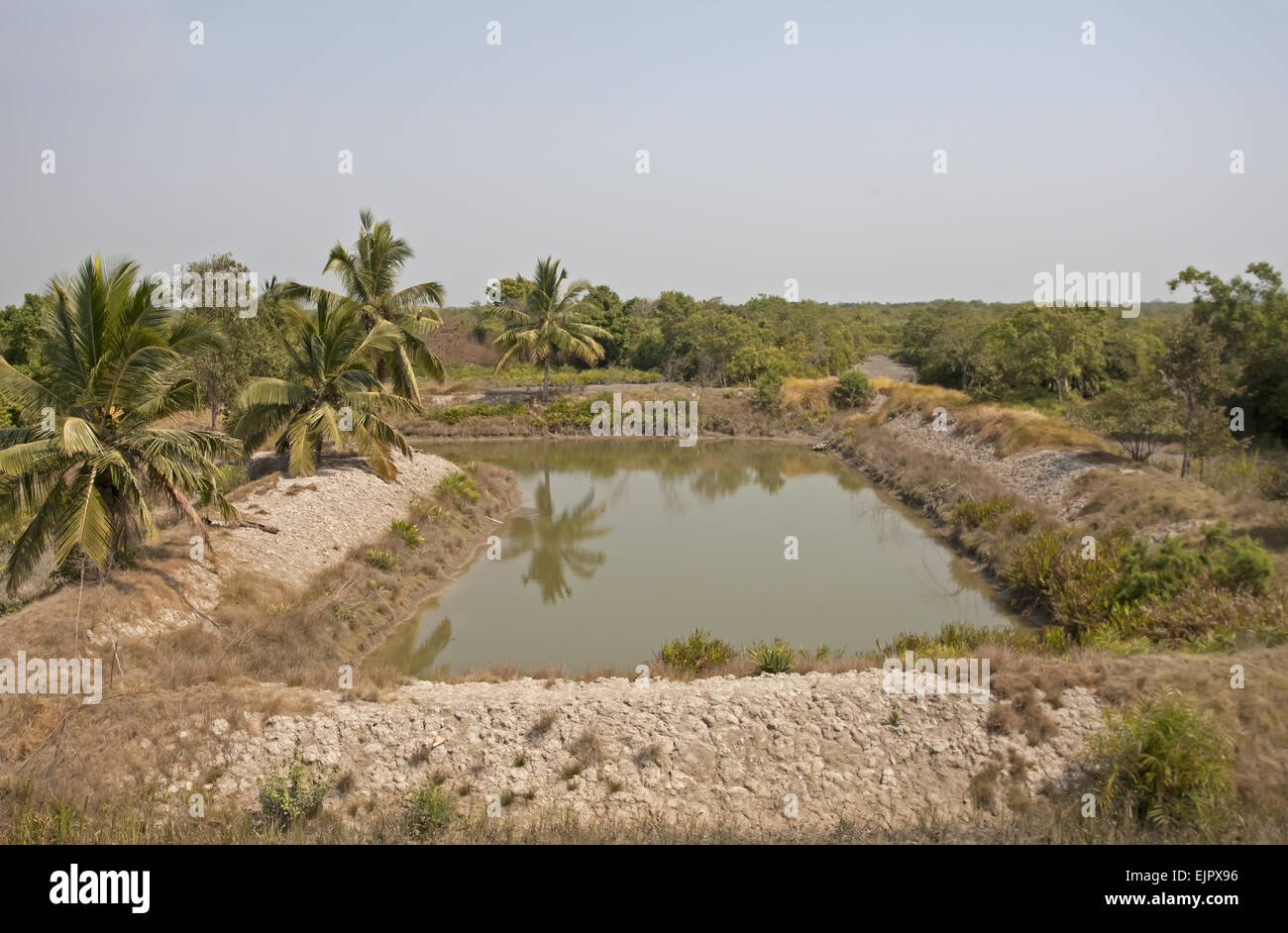 Villaggio deposito di acqua di stagno, Sundarbans, delta del Gange, West Bengal, India, Marzo Foto Stock