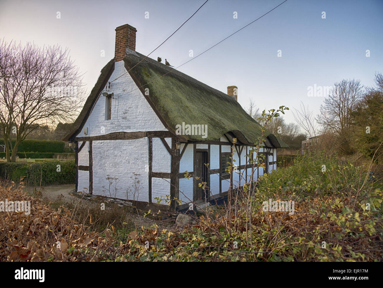 Xvi secolo a struttura mista in legno e muratura, cottage Izaak Walton Cottage, Shallowford, Staffordshire, Inghilterra, Dicembre Foto Stock