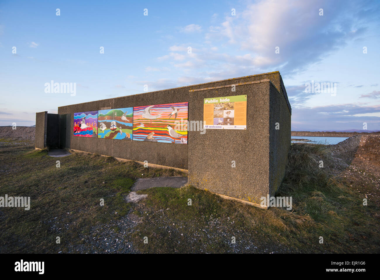 Nascondi pubblica che si affaccia allagato ex il minerale di ferro area mineraria, circondata dal mare parete sulla periferia di Millom, Laguna Hodbarrow RSPB Riserva, Duddon Estuary, Haverigg, Cumbria, Inghilterra, Novembre Foto Stock