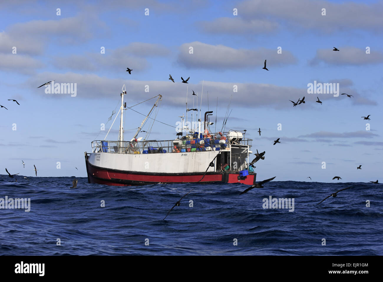 La pesca a strascico in mare, essendo seguita da uccelli marini, compresi albatri, procellarie e stercorari, Capo di Buona Speranza, Western Cape, Sud Africa, Giugno Foto Stock
