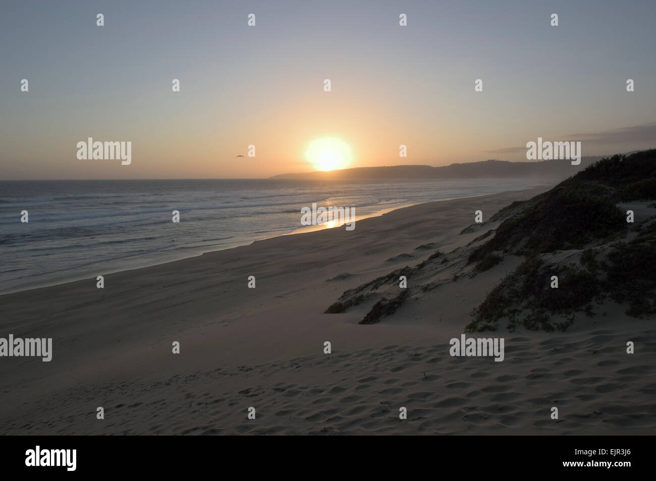 Tramonto sulla spiaggia, deserto, Sud Africa Foto Stock