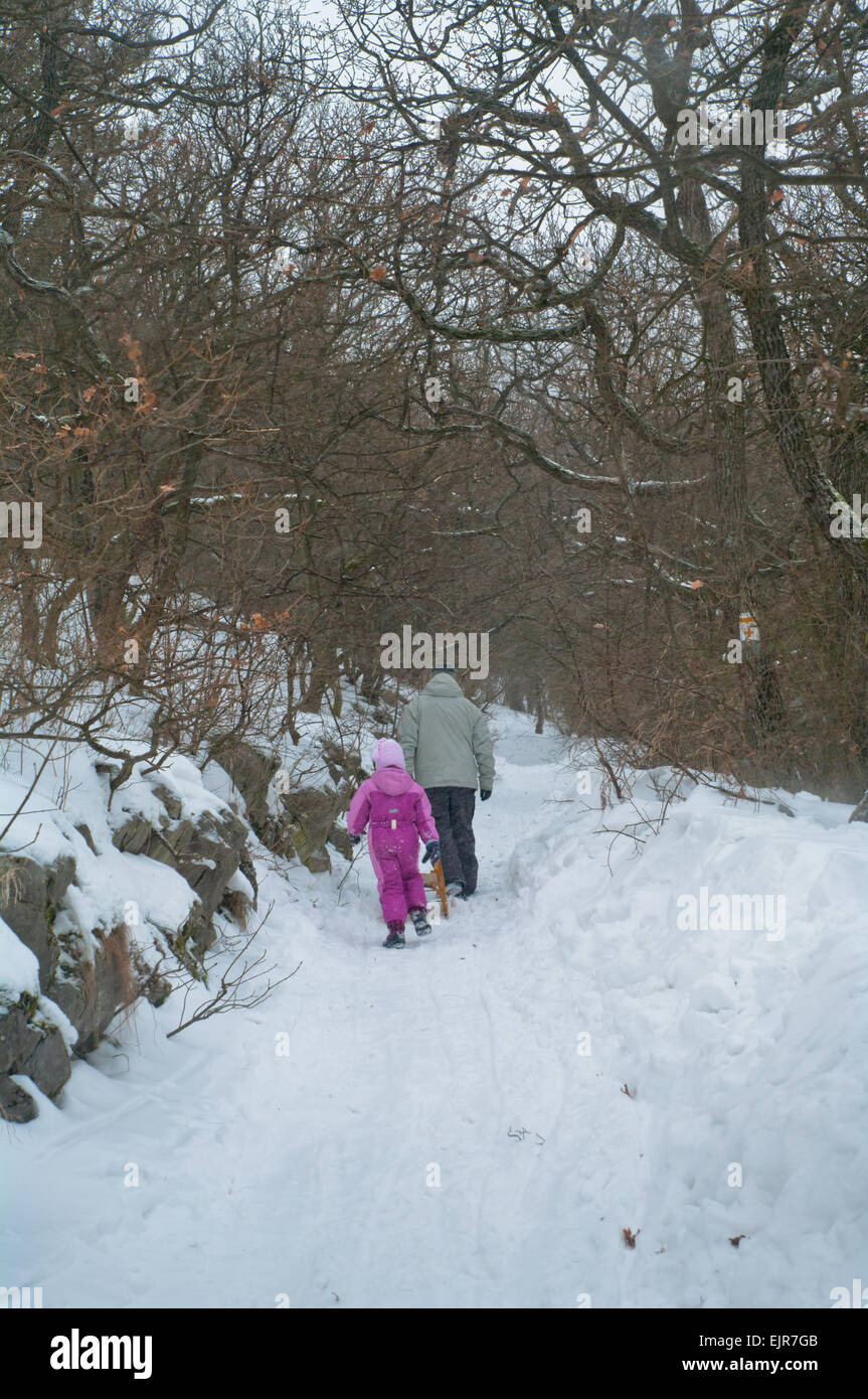 Persone padre ragazza di sfondo per le diapositive chill colore freddo colorato cool giorno l'Europa forest brina ghiacciata luce paesaggio mattina Foto Stock