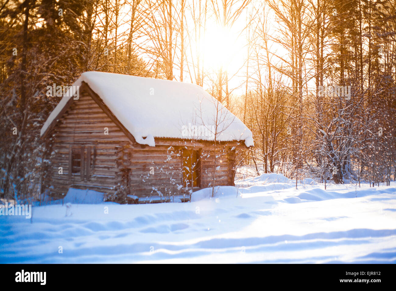 Log Cabin nella radura nel bosco innevato Foto Stock