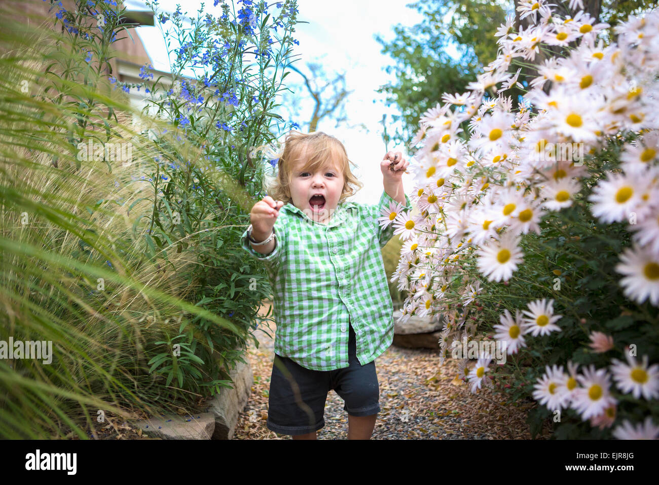 Caucasian baby boy camminare nel giardino Foto Stock